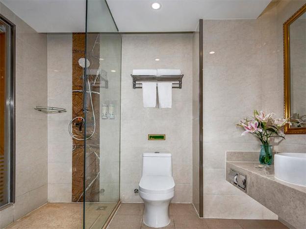 vienna hotel beijing songzhuang