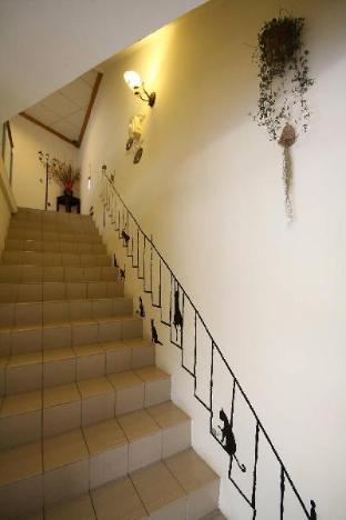 sun moon lake sunflower house