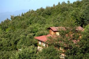 chaukori