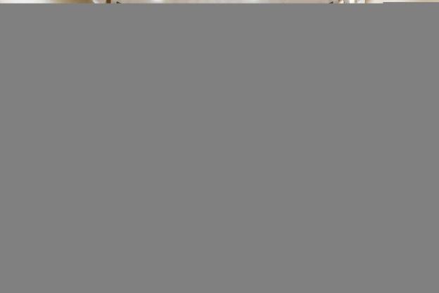 rezen select bellehaute