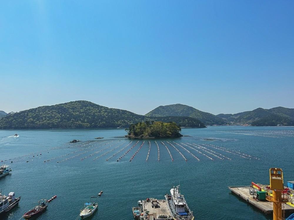 tongyoung martisbeach pension