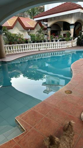 reddoorz plus gracey dive resort dumaguete