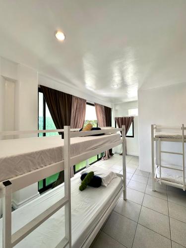 reddoorz plus gracey dive resort dumaguete