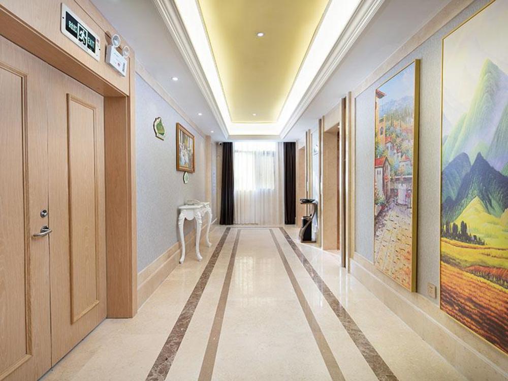 vienna hotel hunan yueyang bubugao