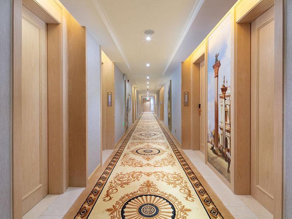 vienna hotel hunan yueyang bubugao