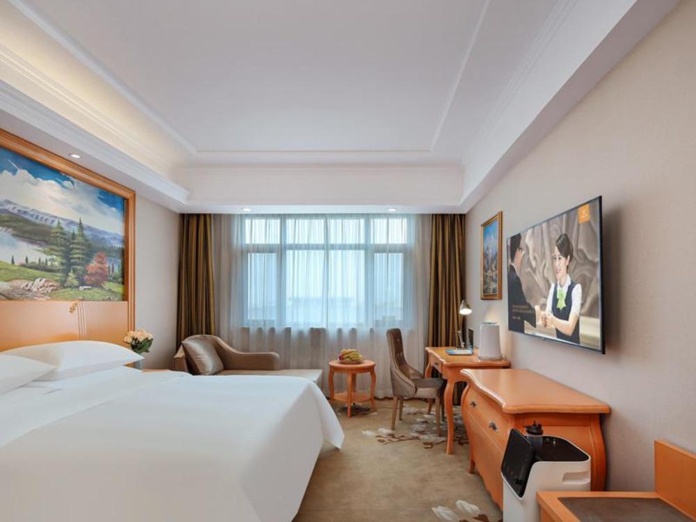 vienna hotel qinghai dachaidan