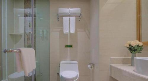 vienna hotel qinghai dachaidan