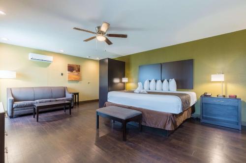best western padre island