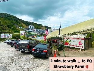 cameron highlands