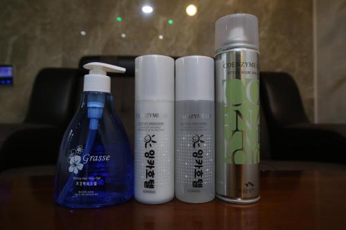 daejeon jungangro inca automated motel