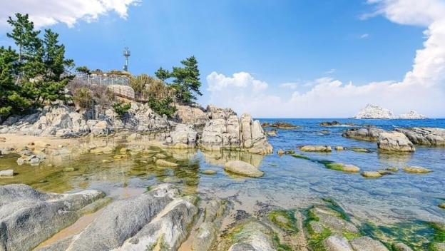 goseong jajackdo aroma pension