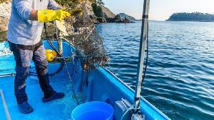 goseong jajackdo aroma pension