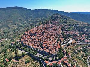 cortona