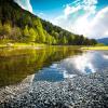 encamp