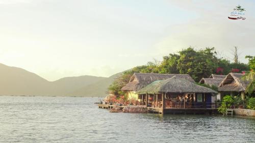 whale island resort