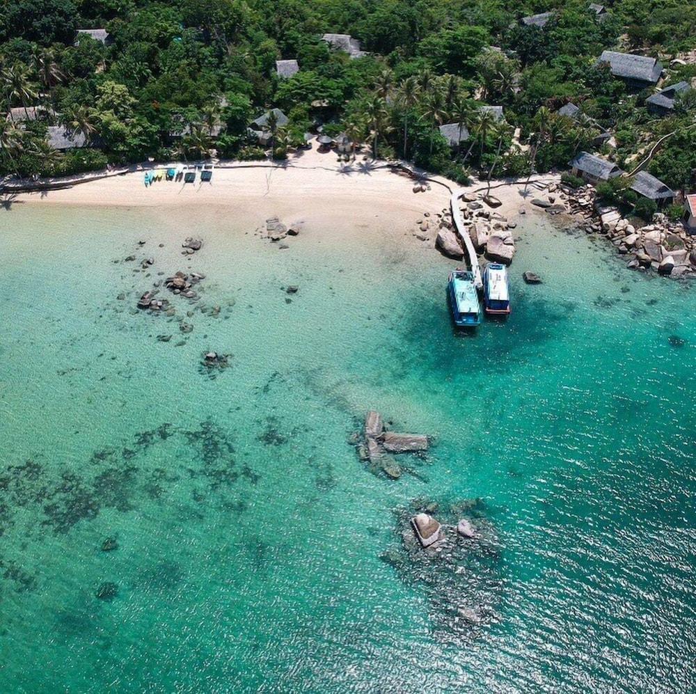 whale island resort