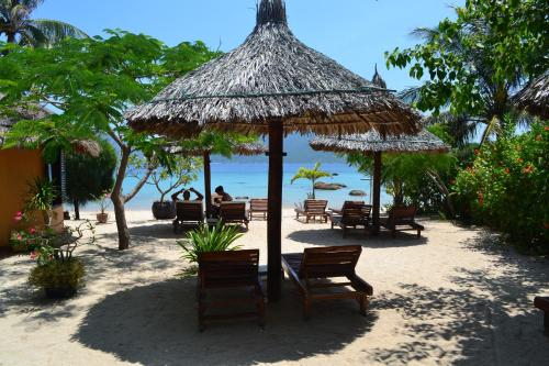 whale island resort
