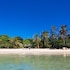 whale island resort