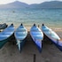 whale island resort