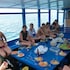 whale island resort