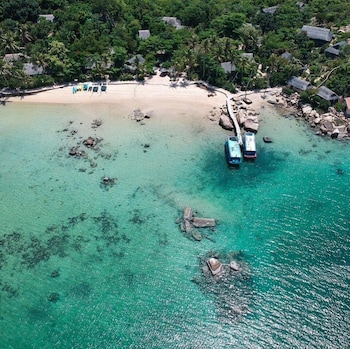 whale island resort