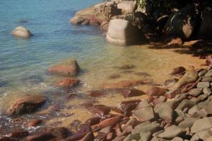 paraty
