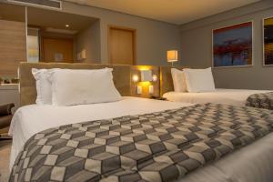 silverton paiva experience flat
