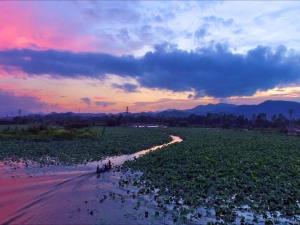 lavande hotel jiangmen heshan bus terminal