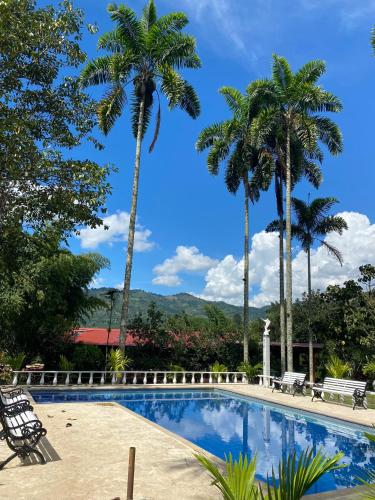 pereira