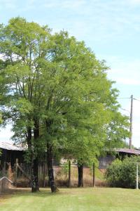 contact hotel les terrasses