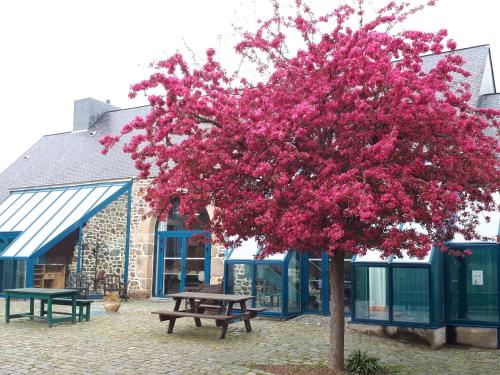 auberge de jeunesse hi saint brieuc