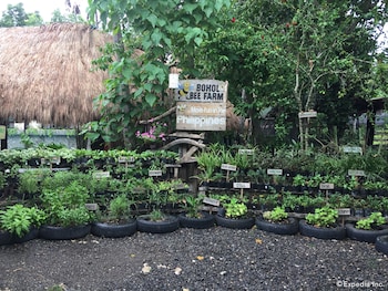 bohol bee farm