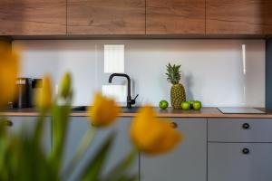 homewell boutique stare miasto