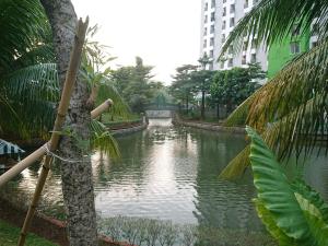 apartment green lake view ciputat by celebrity room