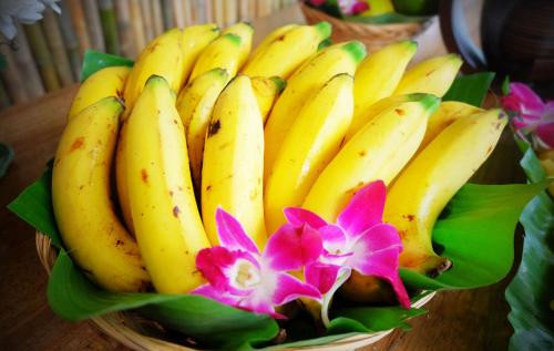 majestic sea view resort