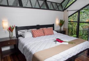 tapirus lodge