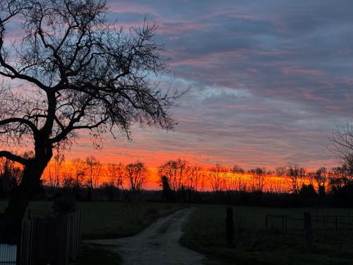 arles
