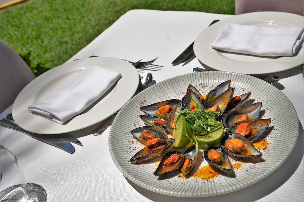 hotel jardin milenio