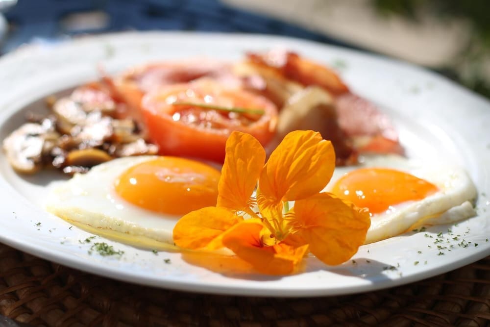 albourne boutique guest house