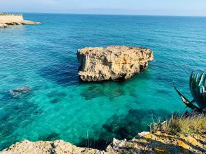 porto giardino cds hotels