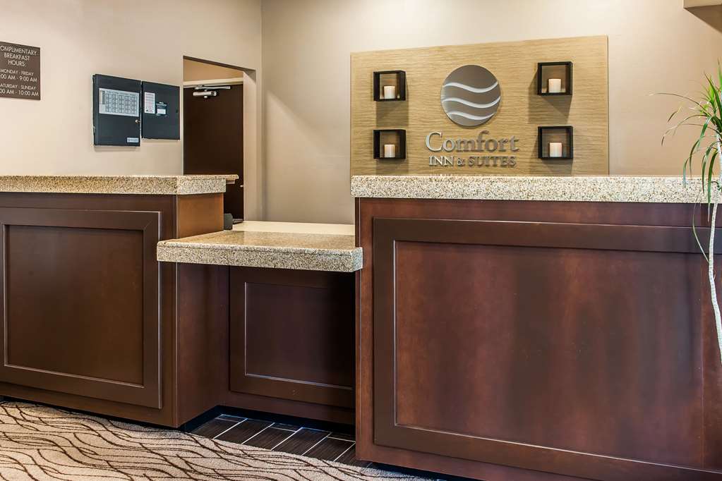 comfort inn and suites mt sterling