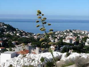 hotel de rome et saint pierre