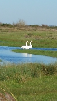 hotel inn design restaurant lescale