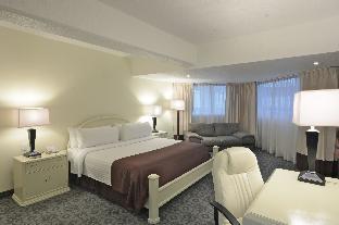 Hotel Mision Pachuca,,3 star