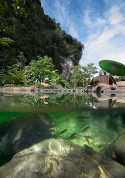 the banjaran hotsprings retreat