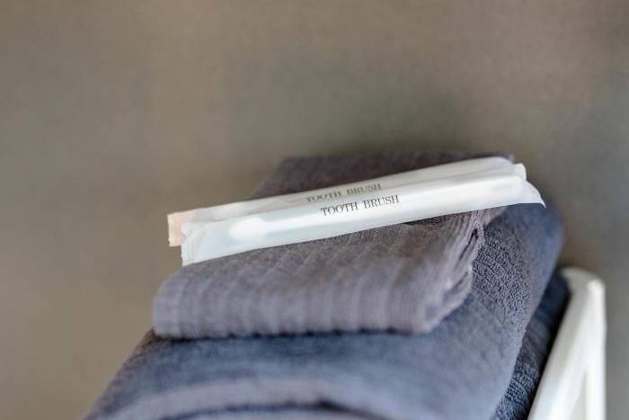 frame view mt fuji villa east