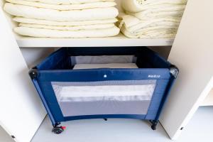 frame view mt fuji villa east