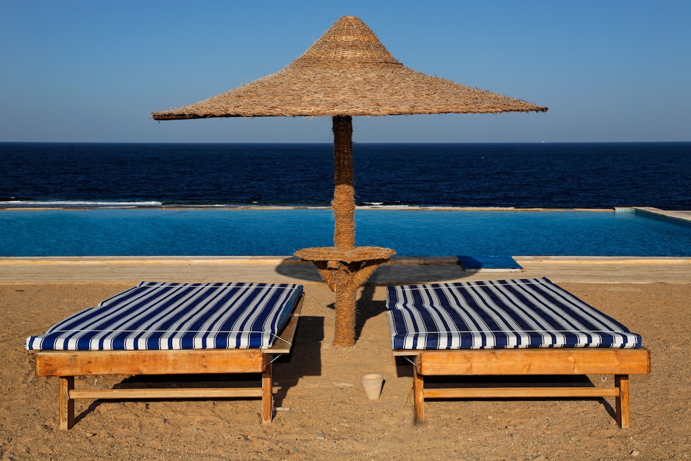 the oasis dive resort