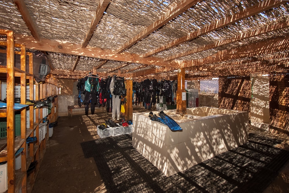 the oasis dive resort