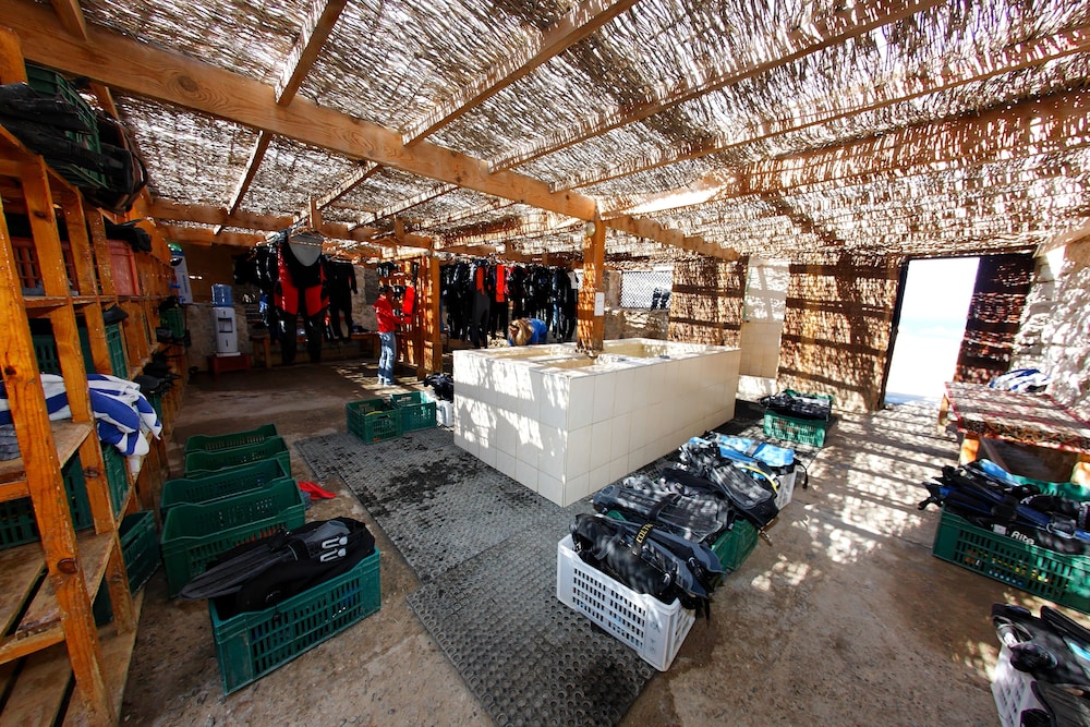 the oasis dive resort